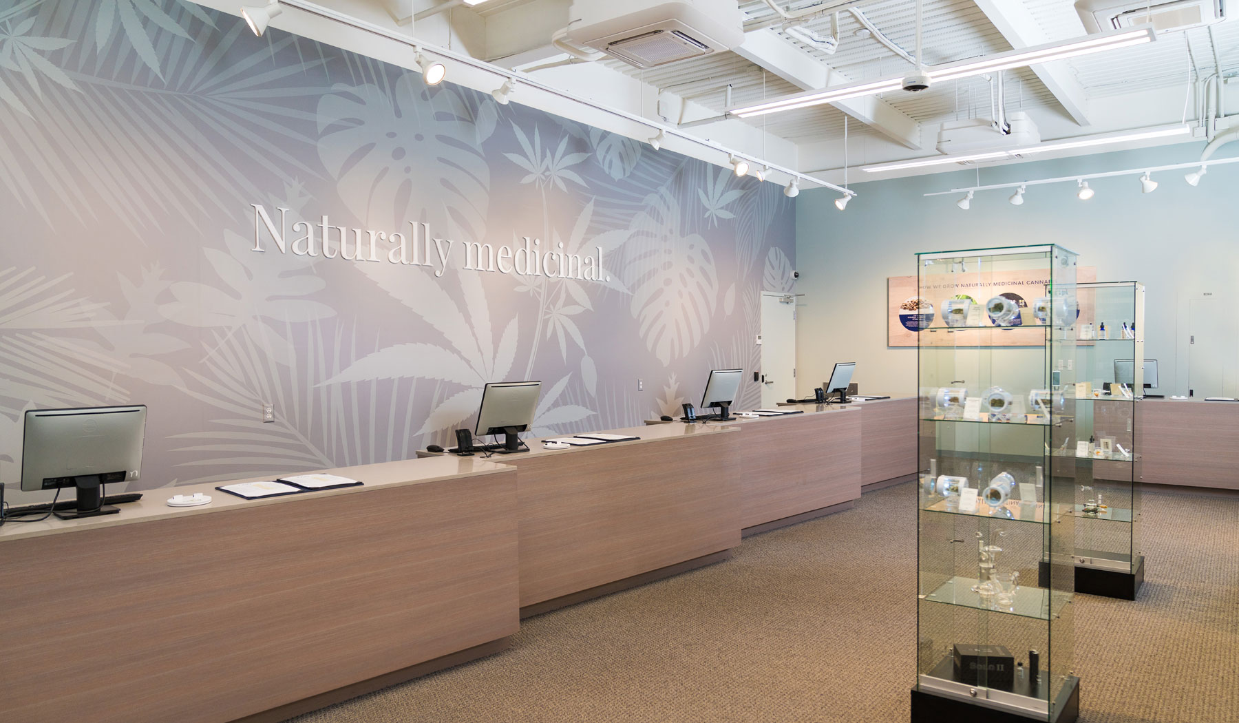 Our Dispensary Locations Noa Botanicals