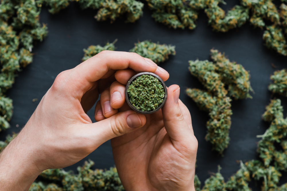 A person holding a small container of cannabis.