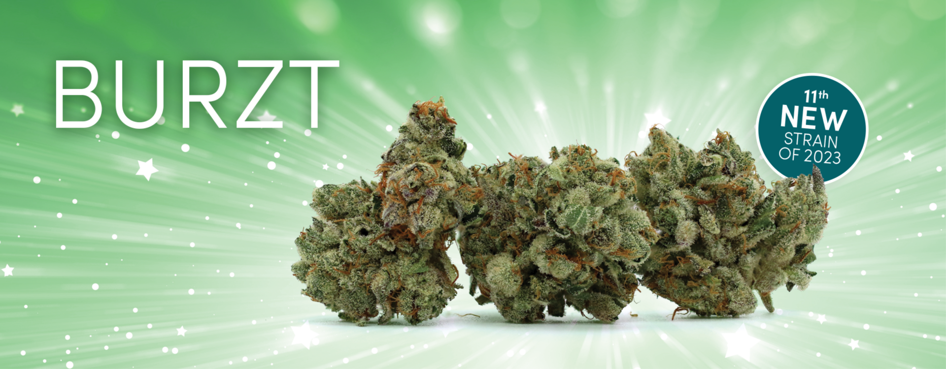 a group of marijuanas sitting on top of a green background.