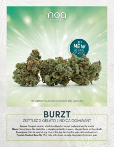 Noa buzzz x sativa indica dominant.