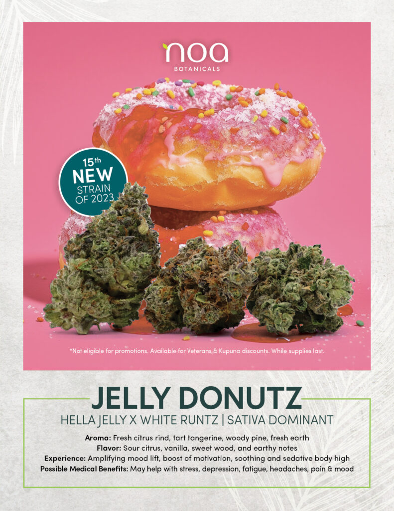 Jelly donutz by noa.