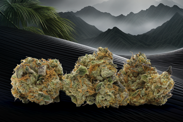 New Strain: Carbon Fiber - Noa Botanicals