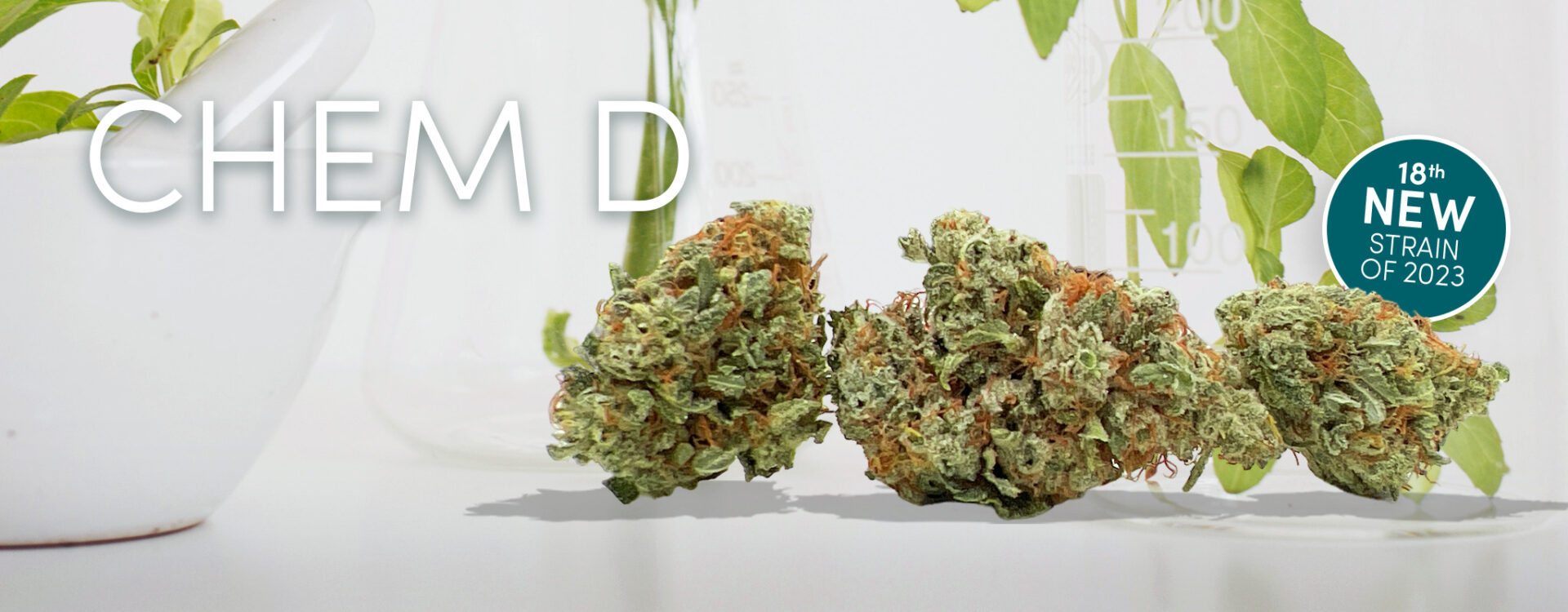 chem d cbd oil - chem d cbd oil - chem d cbd.