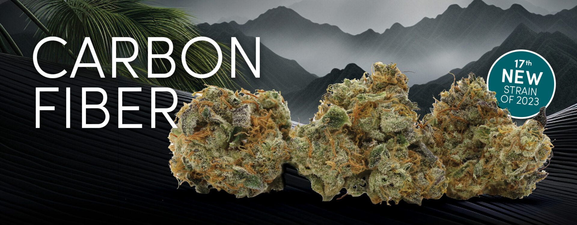 carbon fiber cannabis strains.