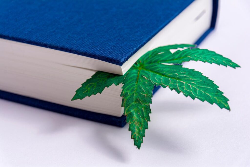 A blue book with a marijuana leaf on it.