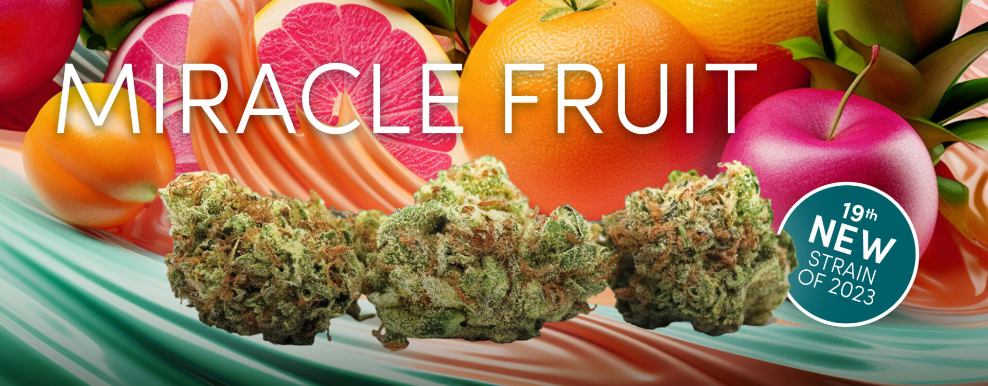 Miracle fruit cbd.