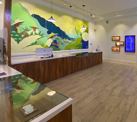 The interior of a medical cannabis store with a mural on the wall.