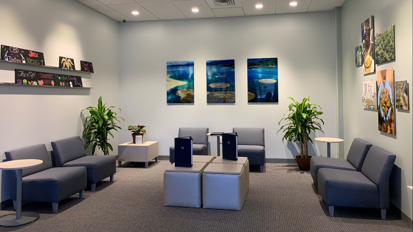 A waiting room for medical cannabis with couches and pictures on the wall.