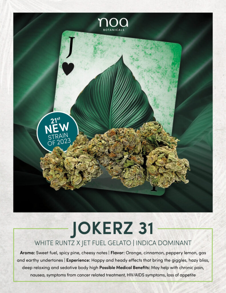 Noa jokerz 3 cannabis strain.