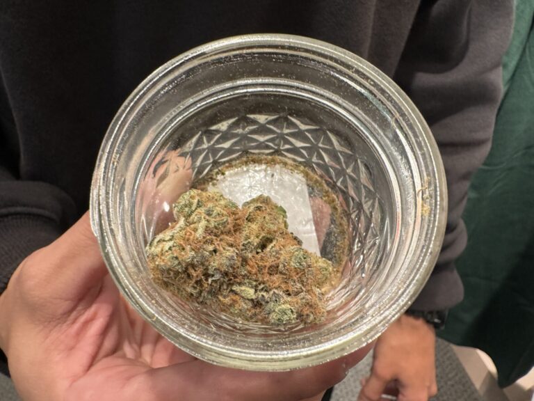 A person holding a glass jar filled with ginger frost strain marijuana.