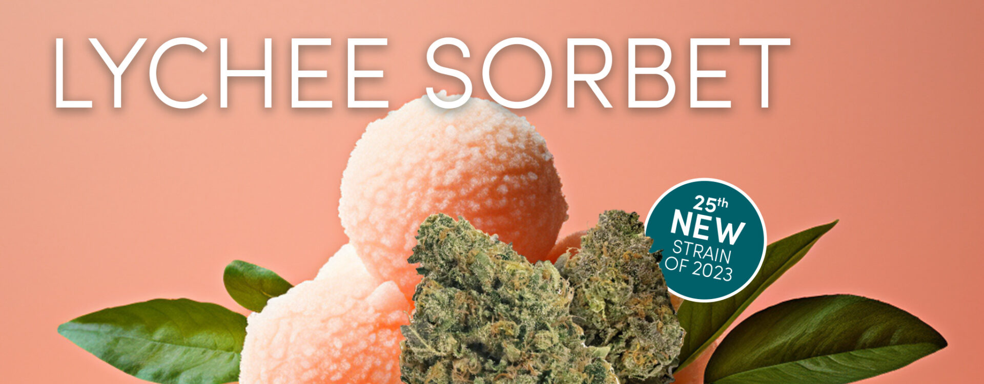 Lychee sorbet is a new cannabis strain.