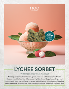 Lychee sorbet by noa.