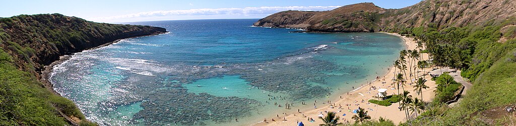 Oahu Dispensaries