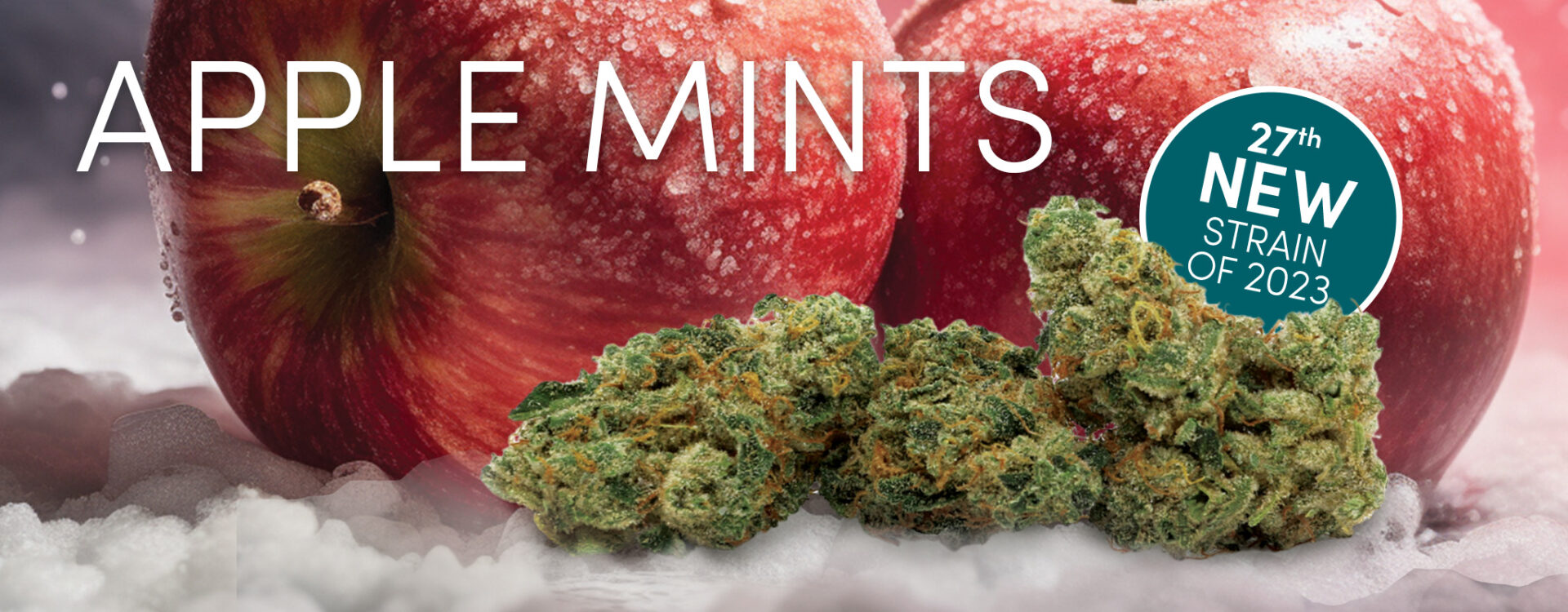 Apple mints in the snow.