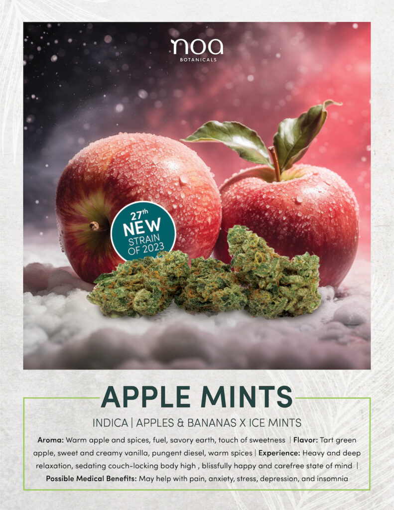 27th new strain of 2023 is Apple Mints.