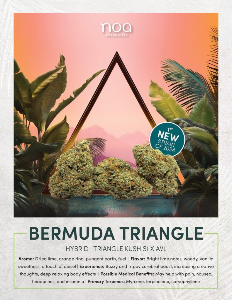 Bermuda triangle cannabis weed strain with THC at Noa Botanicals in Hawaii.