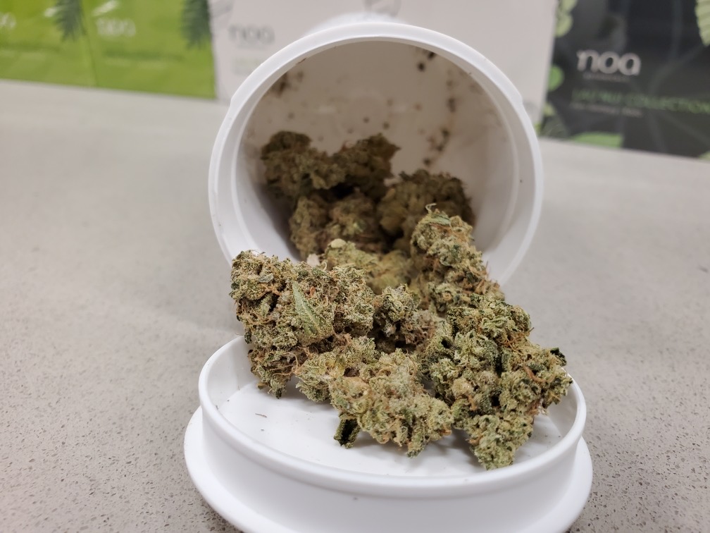 A container of marijuana sitting on top of a counter.