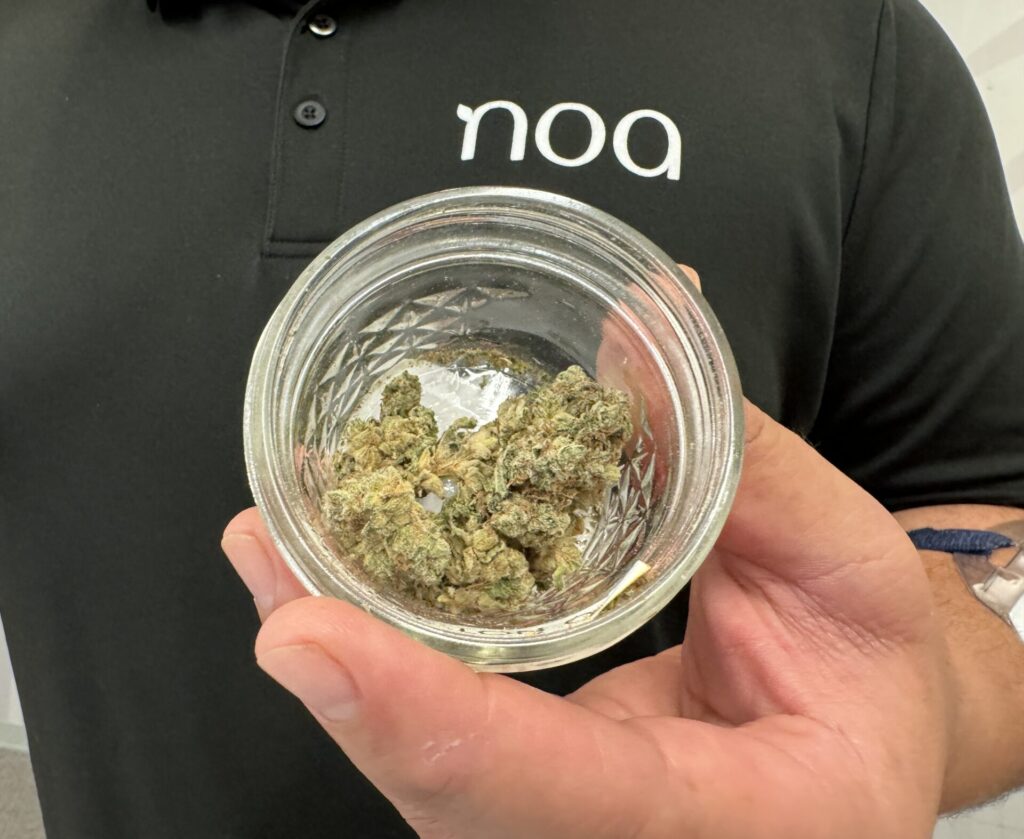 A man holding a jar of marijuana.