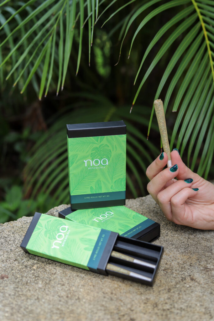 A person's hand holding a lit joint beside a pack of noa relax pre-rolled joints and boxes against a backdrop of green foliage.