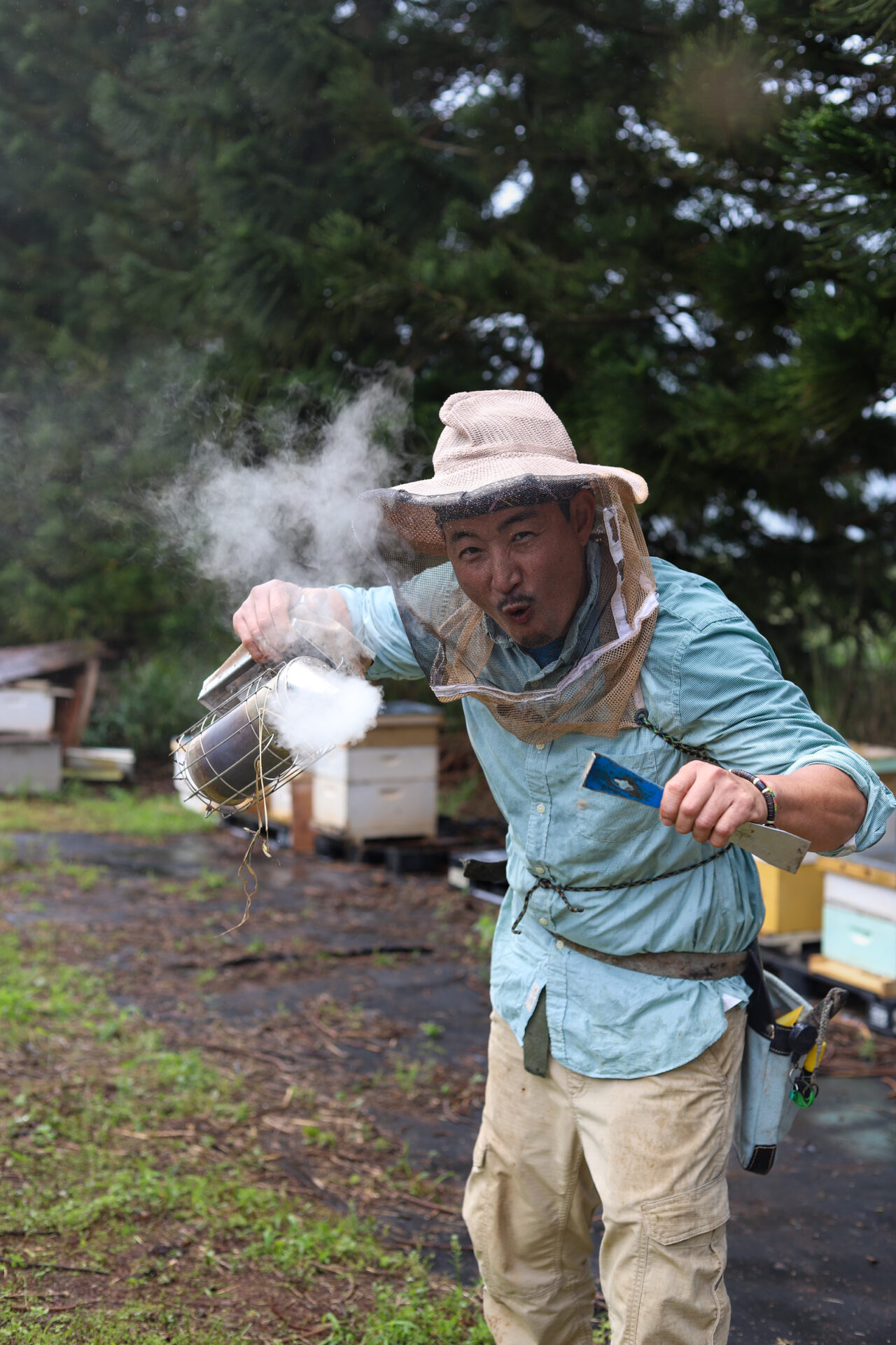 Local Oahu beekeeper, Kino Bees, in protective gear using a smoker among beehives in a forested area, harvesting THC-infused honey.