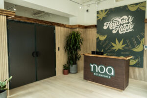 Reception area of Noa Botanicals’ Waikiki cannabis dispensary, featuring locally crafted wood design, lush greenery, and a mural reading 'Find Your Hawai‘i High' — a welcoming and modern space for cannabis in Waikiki