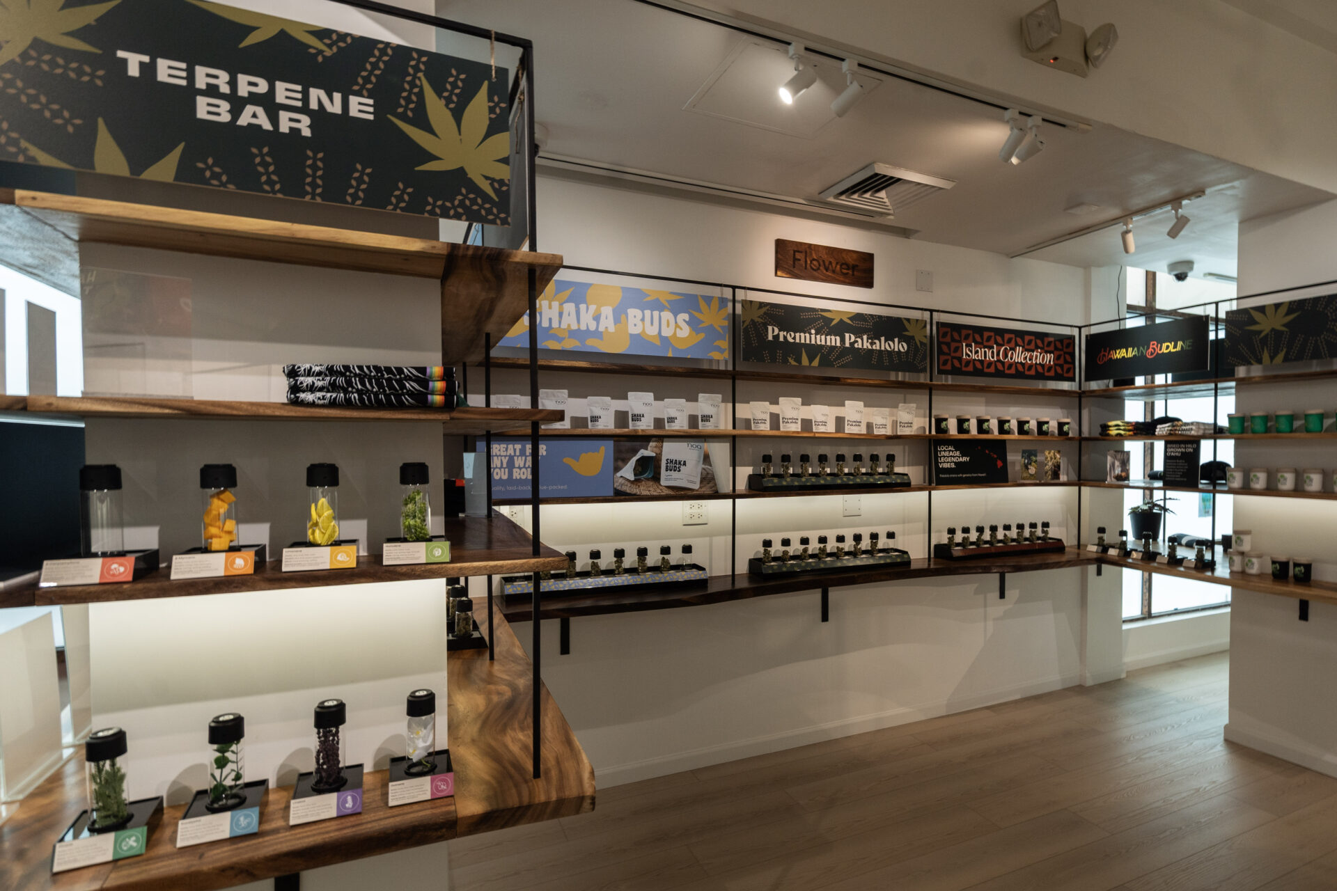 A modern dispensary interior with shelves displaying various medical cannabis products, jars, and branded packaging under signs like "Terpene Bar" and "Premium Palalolo.