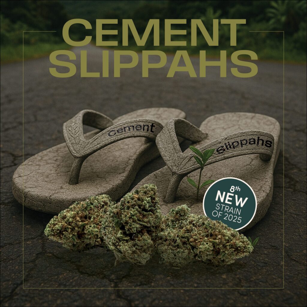 A pair of flip-flops labeled "Cement Slippahs" rest on an outdoor road with cannabis buds and a label reading "8th New Strain of 2025: Cement Slippahs Cannabis Strain.