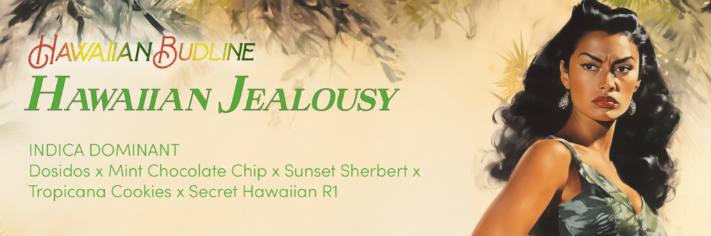 A stylized woman stands in front of palm leaves next to text promoting "Hawaiian Jealousy Cannabis Strain," an indica dominant variety with a list of its genetic lineage.