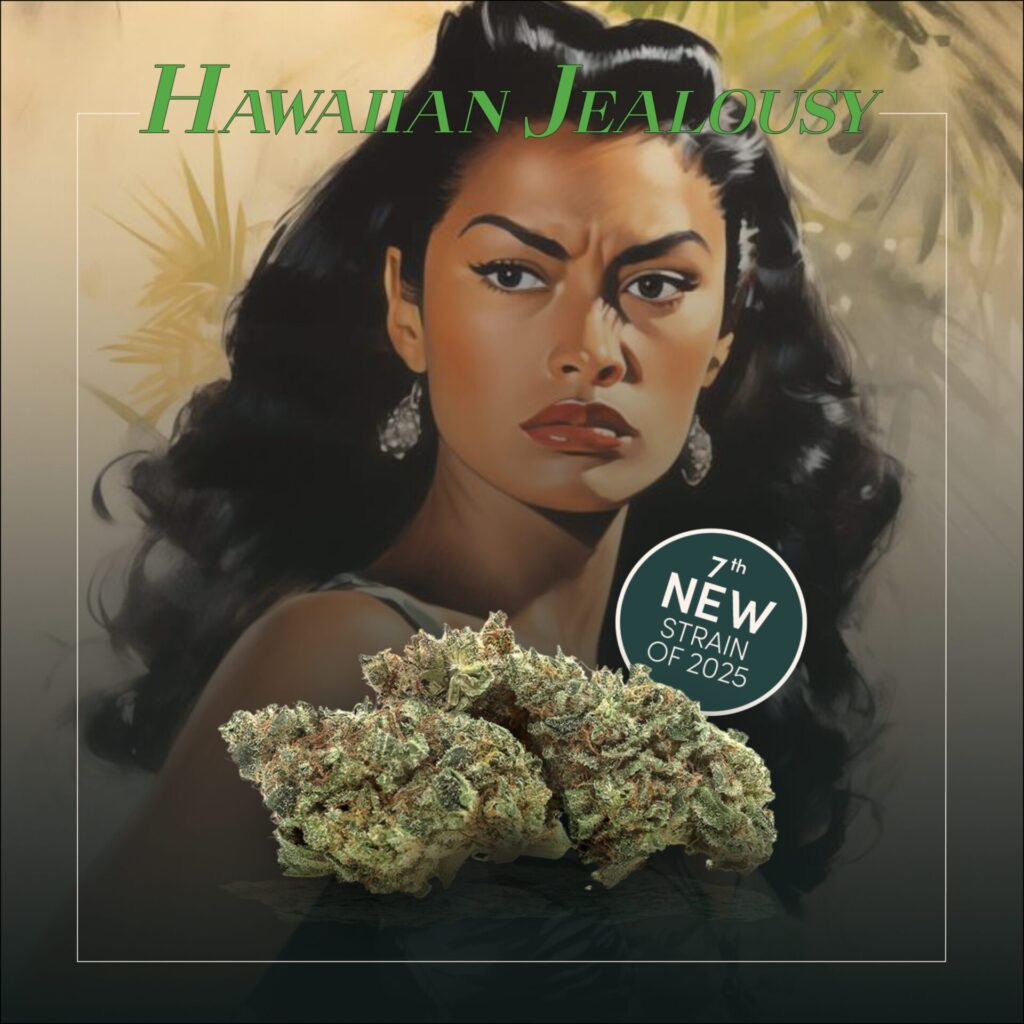 An illustrated woman with a serious expression appears behind cannabis buds, featuring the Hawaiian Jealousy Cannabis Strain and the text "7th New Strain of 2025" boldly displayed.