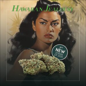 An illustrated woman with a serious expression appears behind cannabis buds, featuring the Hawaiian Jealousy Cannabis Strain and the text "7th New Strain of 2025" boldly displayed.