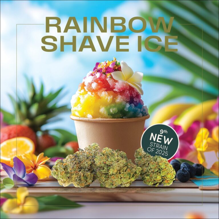A cup of rainbow-colored shave ice with tropical fruits and cannabis buds in front, highlighting vibrant Cannabis Strain Art. Text reads “Rainbow Shave Ice” and “9th New Strain of 2025.”.