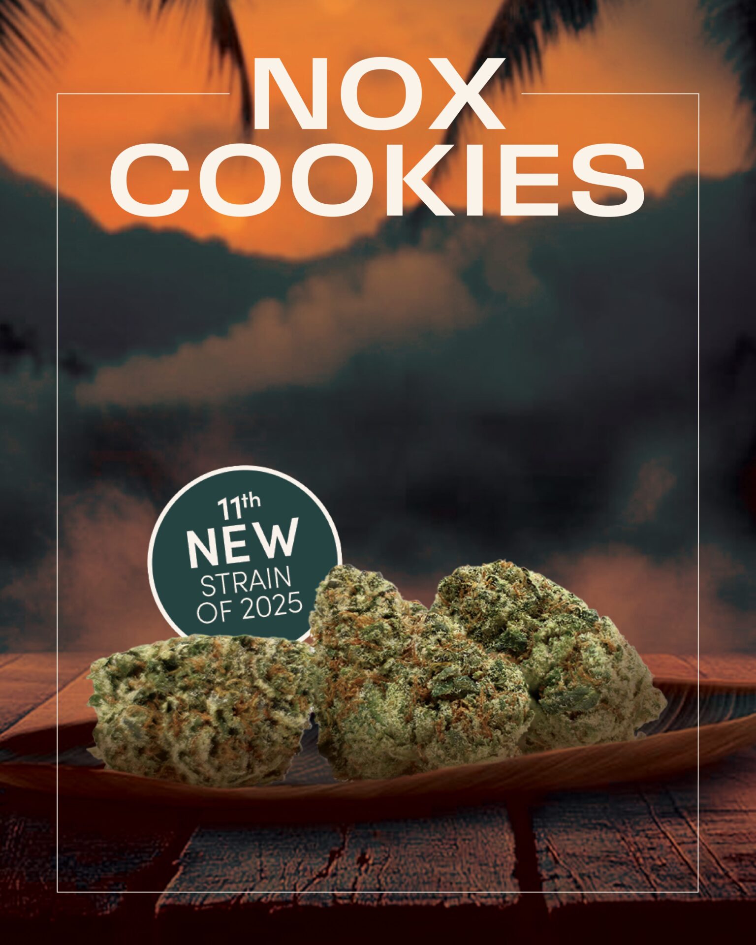 Three cannabis buds on a wooden surface with tropical trees and clouds in the background, labeled "NOX COOKIES"—the NOX Cookies Cannabis Strain is announced as the 11th new strain of 2025.