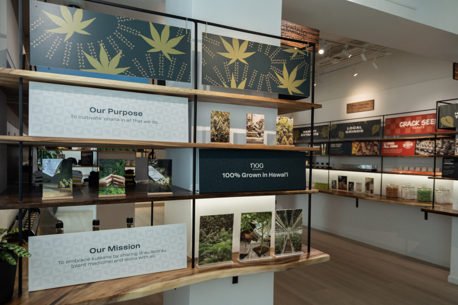 Interior of a modern cannabis dispensary featuring Medical Cannabis product displays, signage explaining purpose and mission, and images of cannabis plants.