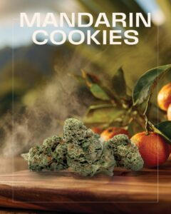 Cannabis buds labeled "Mandarin Cookies" from Farmer's Daughter Cannabis rest on a wooden surface, with mandarins and leaves blurred in the background.