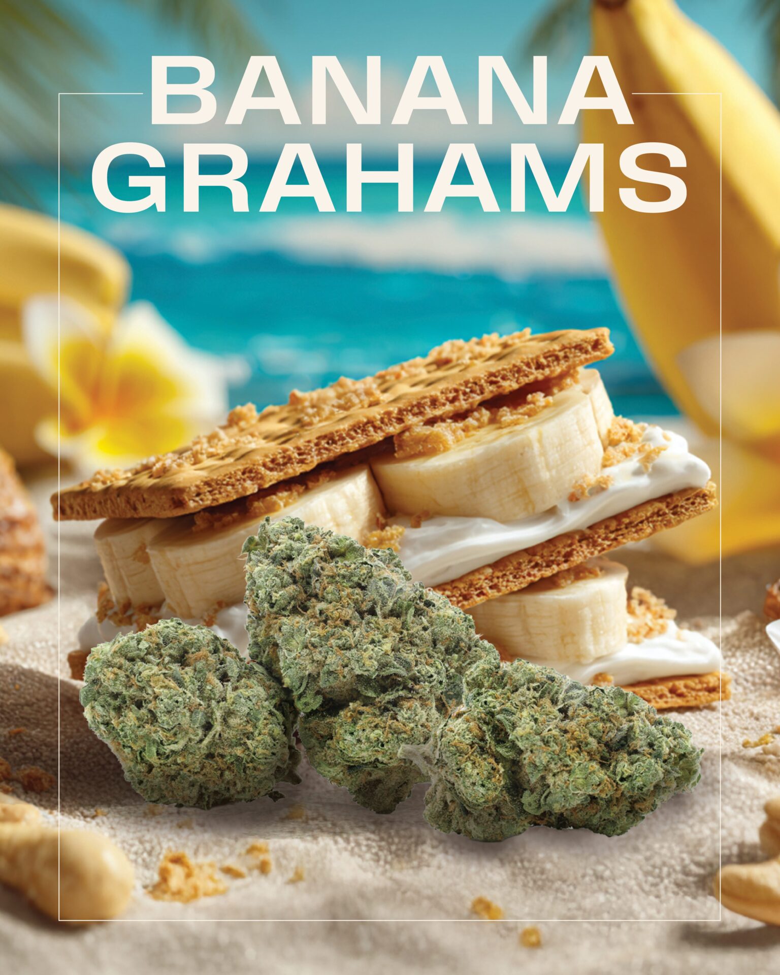 Close-up of graham crackers, banana slices, and cream with Banana Grahams Cannabis Strain buds in front; tropical background with ocean and bananas. Text reads "BANANA GRAHAMS.