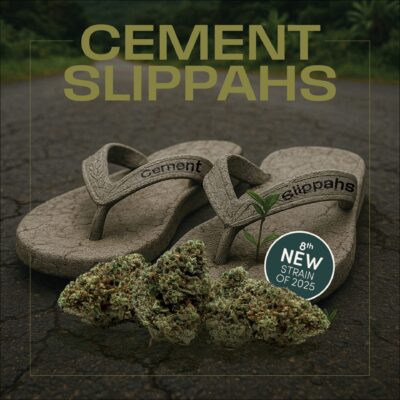 A pair of flip-flops labeled "Cement Slippahs" rest on an outdoor road with cannabis buds and a label reading "8th New Strain of 2025: Cement Slippahs Cannabis Strain.