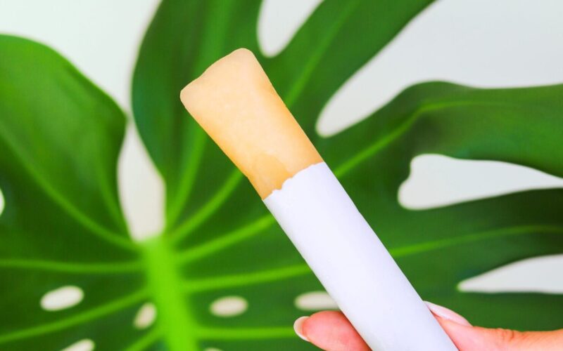 A hand holding a cannabis-infused popsicle against a background of a large green monstera leaf. A hand holding a cannabis-infused popsicle against a background of a large green monstera leaf.